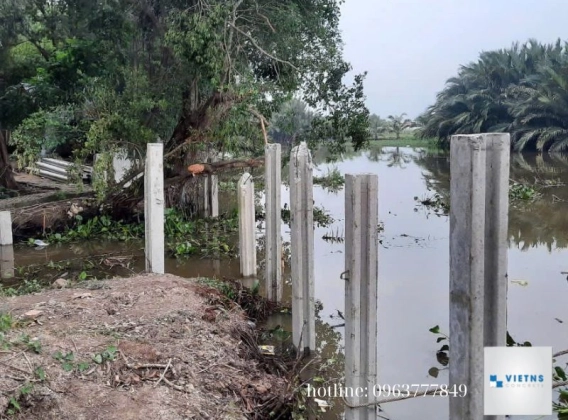 Báo giá trụ rào bê tông đúc sẵn 2.5m mới nhất 2024